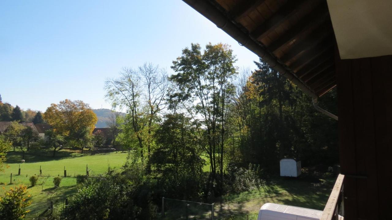 Fewo Mit Balkon Direkt Am Wald Und Wanderweg Ruhe Pur 2 Og Bad Sachsa Buitenkant foto